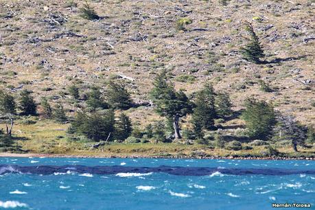 Parque Nacional Perito Moreno (febrero 2022)