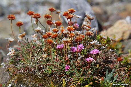 Parque Nacional Perito Moreno (febrero 2022)
