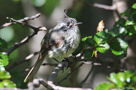 Parque Nacional Perito Moreno (febrero 2022)