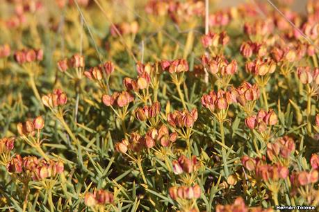Parque Nacional Perito Moreno (febrero 2022)
