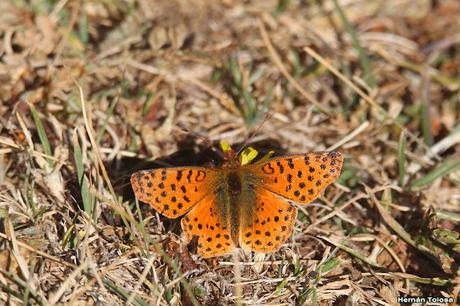 Parque Nacional Perito Moreno (febrero 2022)