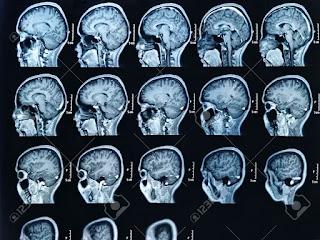 De los debates científicos