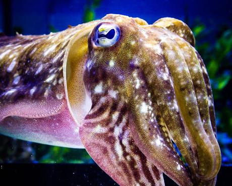 Sony presenta HT-AX7, un nuevo sistema de cine portátil con sonido espacial inmersivo