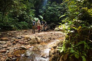 Vacaciones de verano en el paraíso verde del Chocó Andino