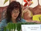 sentido femenino perfección Teresa Cartagena Jesús