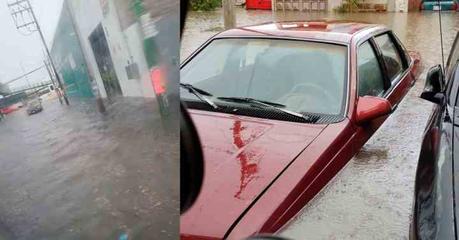 Fuertes lluvias inundan la avenida Cactus y áreas adyacentes