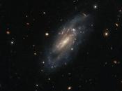 Hubble observa galaxia espiral 11860 flotando serenamente