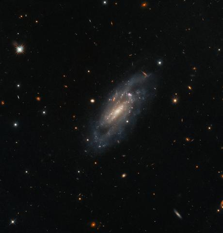 Hubble observa la galaxia espiral UGC 11860 flotando serenamente