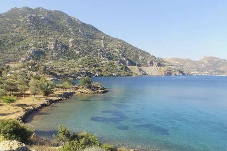 Cin-Bükü-que-hacer-en-marmaris