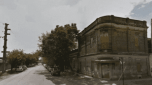 Hallan cadáver al que sus cinco gatos le comieron las piernas y un brazo: ¿De qué murió la víctima?