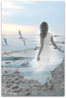 5.532 - UNA GAVIOTA... 5.532 - UNA GAVIOTA...