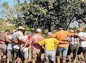 Junta Embarre Panamá: Tradición Típica