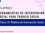 Tema Curso Modelos intervención social trabajo