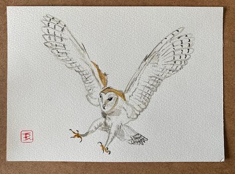 Dibujos de Lechuza con acuarelas