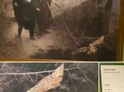 lechuzas Josep Triadó Sabiduría muerte