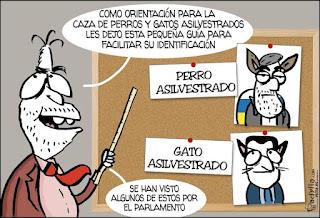 Del lenguaje inclusivo