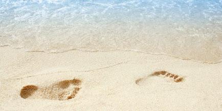 MUESTRAS DE ADN EN AGUA, ARENA Y AIRE