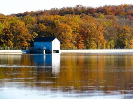Los 8 mejores lugares para los amantes de la pesca en Alsace Lorraine estanque hirbach