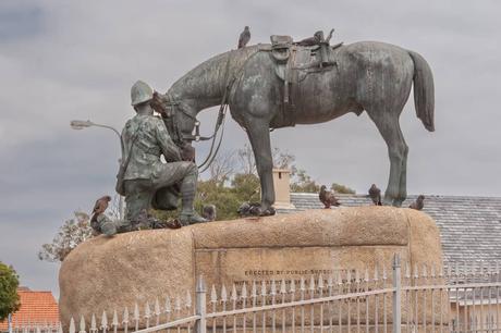 15 cosas que hacer en puerto Elizabeth memorial de caballos