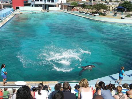 15 cosas que hacer en puerto Elizabeth Bayworld, Puerto Elizabeth