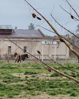 Paseo de invierno: Carlos Keen, un pueblo rural con encanto cerca de Buenos Aires