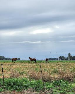 Paseo de invierno: Carlos Keen, un pueblo rural con encanto cerca de Buenos Aires