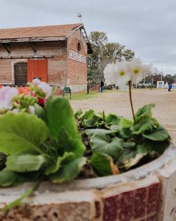 Paseo de invierno: Carlos Keen, un pueblo rural con encanto cerca de Buenos Aires
