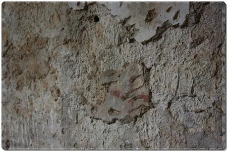 Edén en Graudescales, Lleida