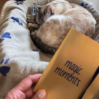 LO QUE ESCRIBO (II): AMOR DE GATO