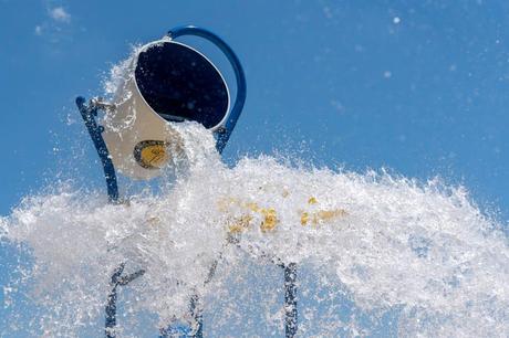 14 mejores cosas que hacer en Conway (Arkansas) 14 mejores cosas que hacer en Conway (Arkansas)