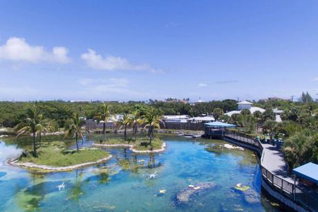 15 mejores cosas que hacer en Stuart (FL)