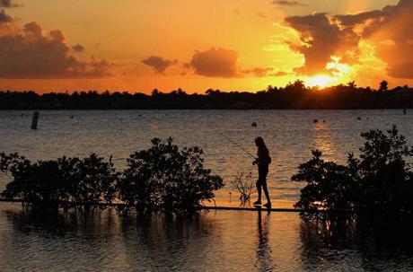 15 mejores cosas que hacer en Stuart (FL)