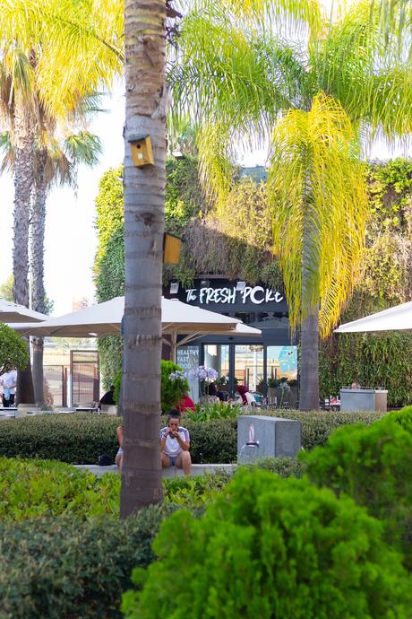 The Fresh Poke abre su décimo local en Andalucía The Fresh Poke abre su décimo local en Andalucía