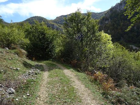 Pendones-Maciédome-Vega Baxu