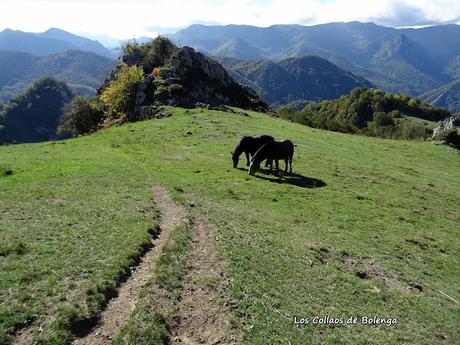 Pendones-Maciédome-Vega Baxu