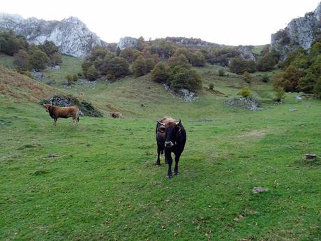 Pendones-Maciédome-Vega Baxu