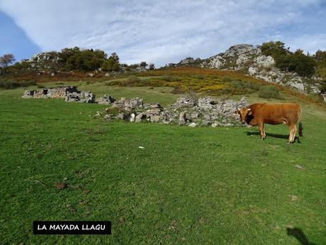 Pendones-Maciédome-Vega Baxu