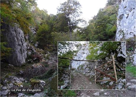 Pendones-Maciédome-Vega Baxu