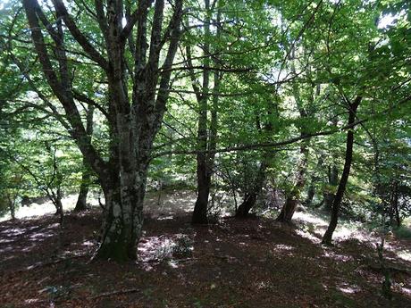 Pendones-Maciédome-Vega Baxu