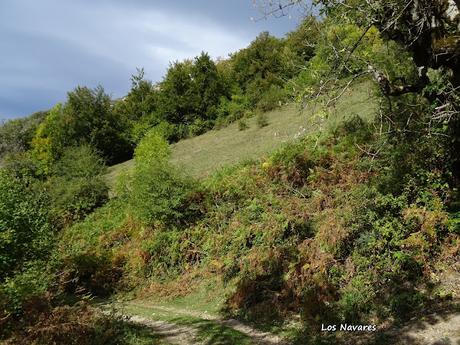 Pendones-Maciédome-Vega Baxu