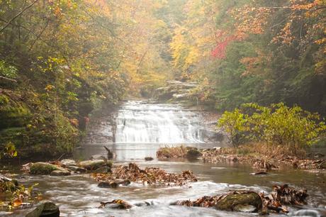Kinlock Falls, desierto de Sipsey