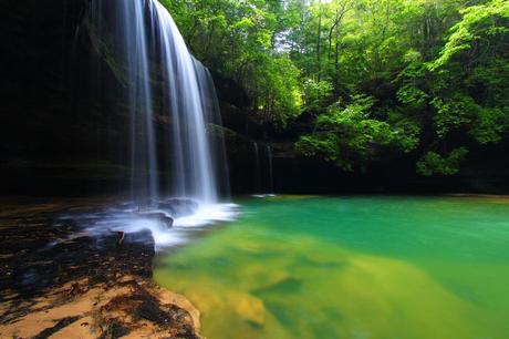 Cataratas de Upper Caney Creek, Bosque Nacional Bankhead