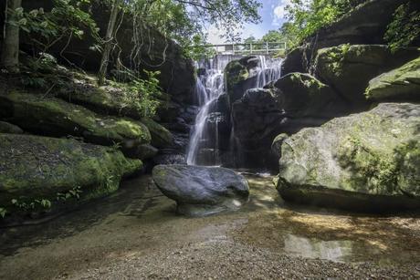 Dismals Canyon Falls, condado de Franklin