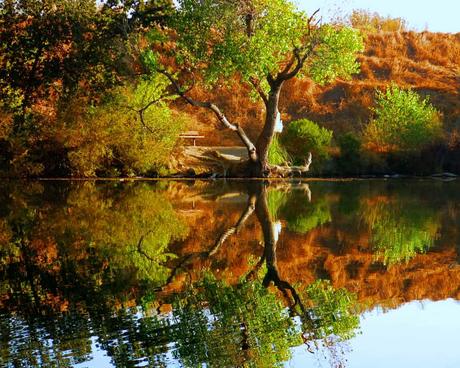 15 mejores lagos en San José Lago Shadow Cliffs