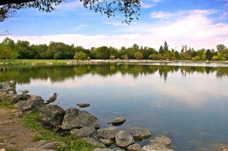 15 mejores lagos en San José Lago Cottonwood