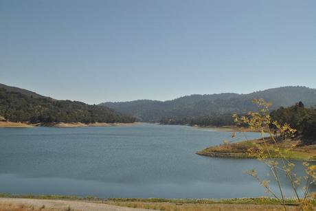 15 mejores lagos en San José Embalse de Lexington