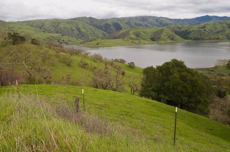 15 mejores lagos en San José Embalse de Calaveras