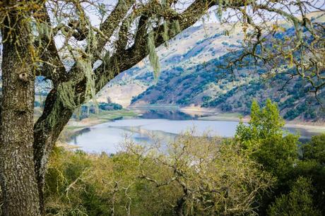 15 mejores lagos en San José Lago Coyote