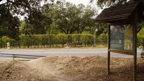 Rutas a pie o en bici con mucho que ver sin salir de Madrid Rutas a pie o en bici con mucho que ver sin salir de Madrid