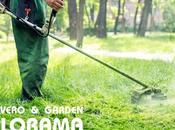 desbroce fincas como protector entorno natural Madrid, Viveros Florama